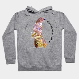 Streaked saltator tropical bird pin black text Hoodie